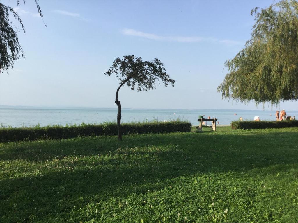 Apartman 511 Siofok Dış mekan fotoğraf